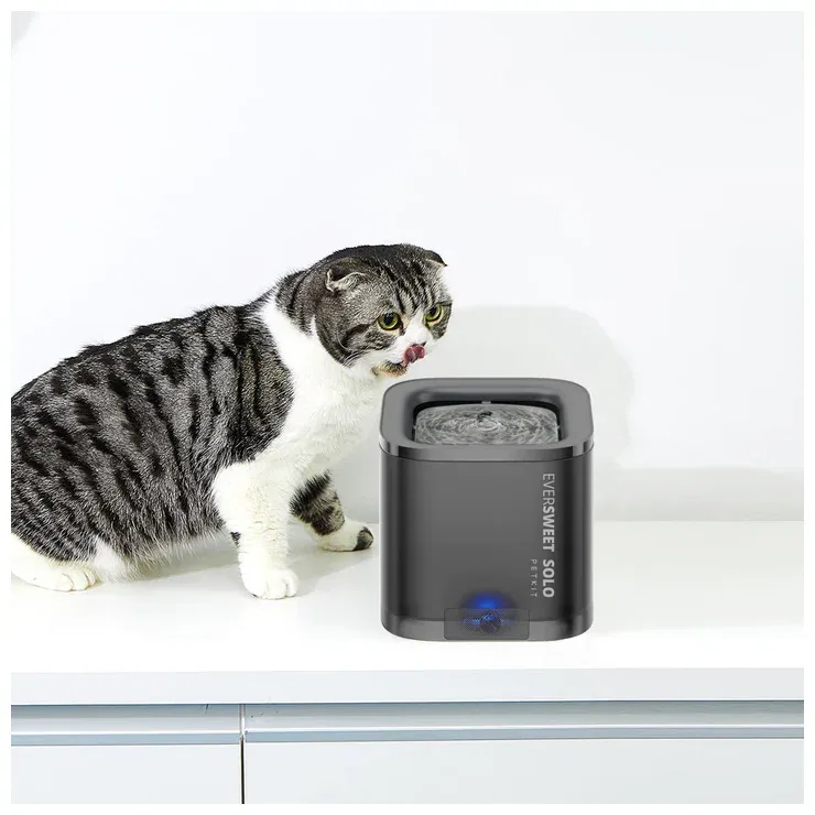 Petkit Eversweet Solo SE Dark